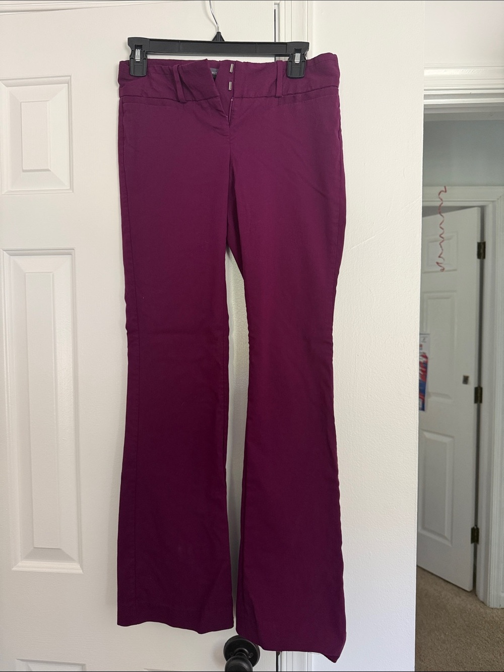 The Limited Women's Plum Flared Pants - Sleek Mid-Rise, size 2